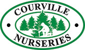 logo-courville2020-v2